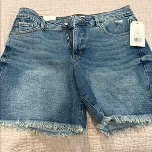 Denim Frayed Hem Shorts Wonderly Belks